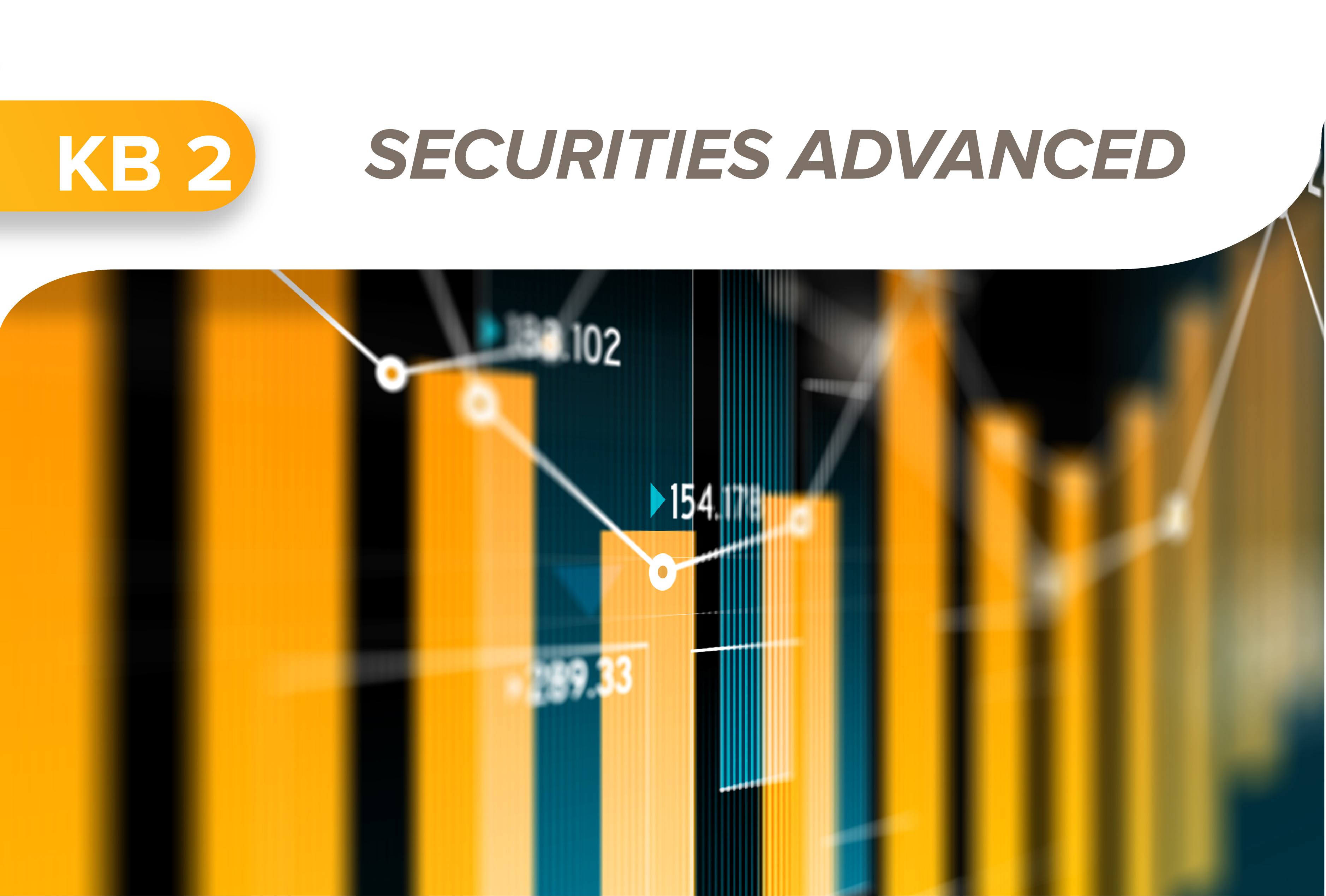  Securities advanced